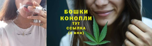 прущие грибы Абаза