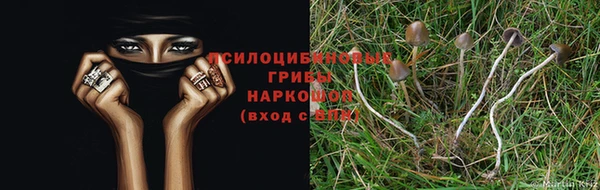 кокаин перу Алексеевка