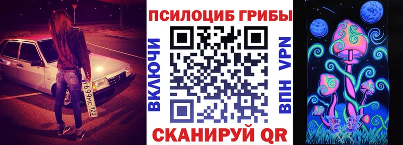 Галлюциногенные грибы Psilocybine cubensis  Моздок 