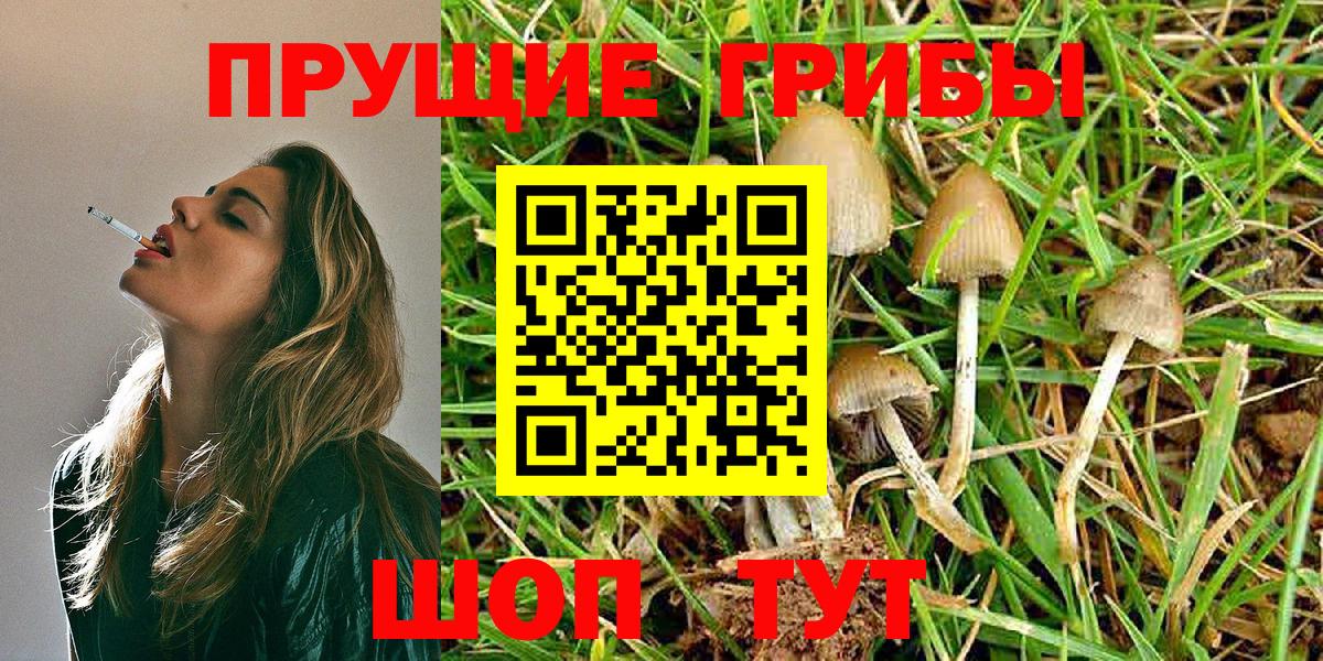 закладка  Галлюциногенные грибы Cubensis  Вход с VPN  Моздок 