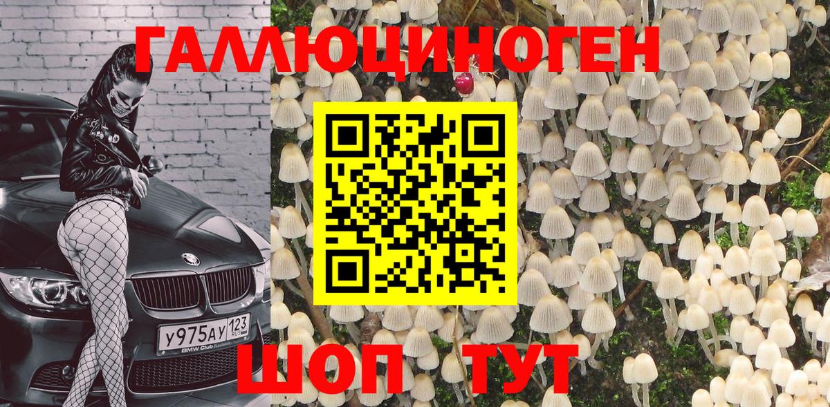 Псилоцибиновые грибы мицелий Моздок
